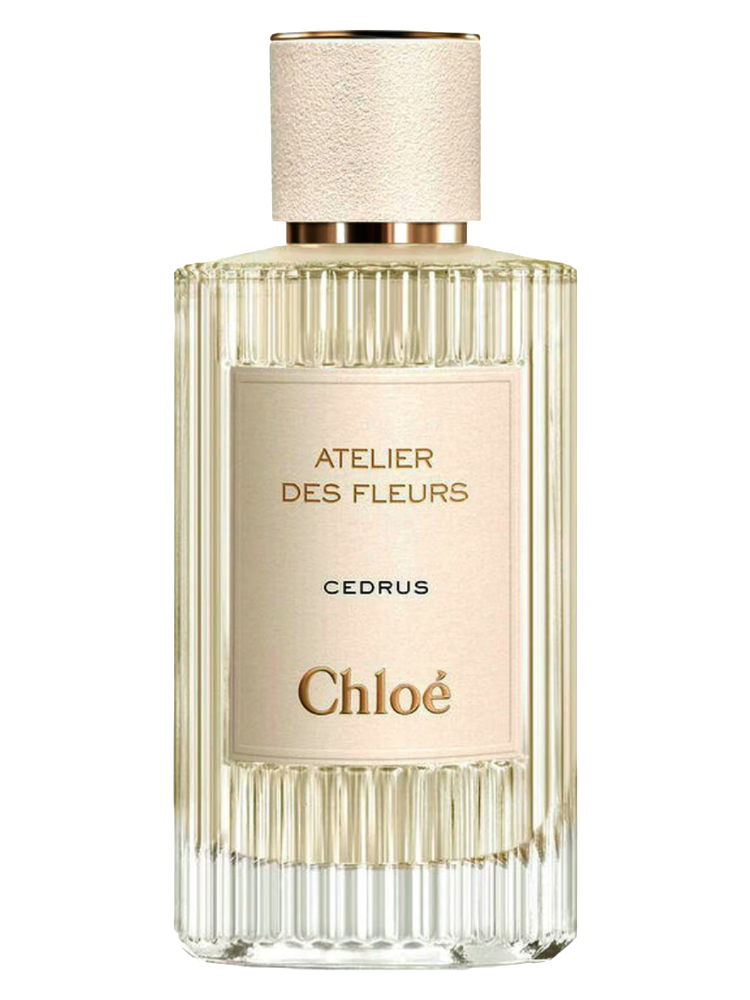 Cedrus